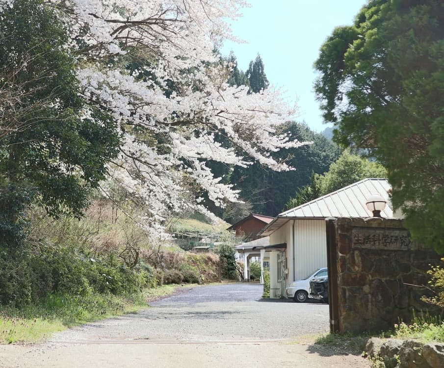 株式会社 生活科学研究所(千早赤阪研究所) LIFE SCIENCE LABORATORIES,LTD.