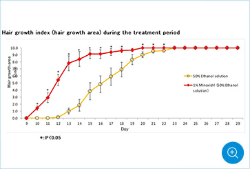 投与期間中の発毛指数(発毛面積)