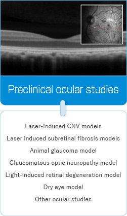 眼の試験 レーザー誘発CNVモデル 正常眼圧測定試験 高眼圧モデル試験 光障害モデル ドライアイモデル 水圧負荷虚血再灌流モデル 点眼薬等の同等性評価他の眼科関連試験